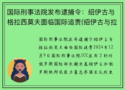国际刑事法院发布逮捕令：绍伊古与格拉西莫夫面临国际追责(绍伊古与拉夫罗夫关系好)