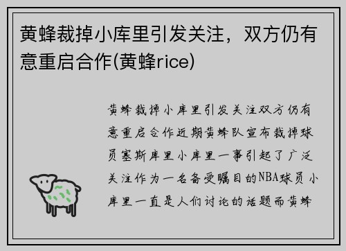 黄蜂裁掉小库里引发关注，双方仍有意重启合作(黄蜂rice)